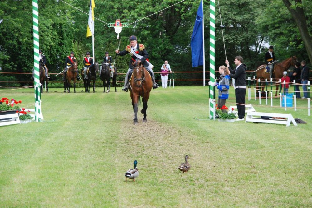 Ringreiten 2012 053