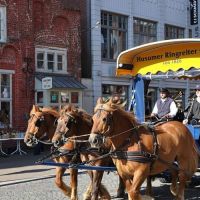 Gilde Musikwagen 2009