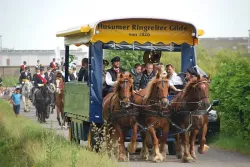 Musikzug-Linden-2014