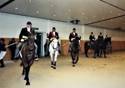 Zeiter_Auftritt_in_den_Holstenhallen_1_verkl